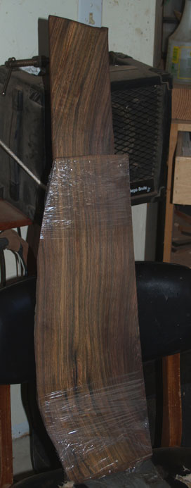 sides behing the back