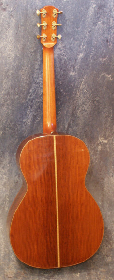 back view